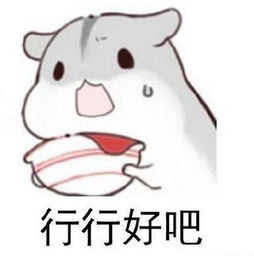 仓鼠可爱要饭表情包高清版仓鼠要饭卡通表情包v2.1电脑版腾牛下载