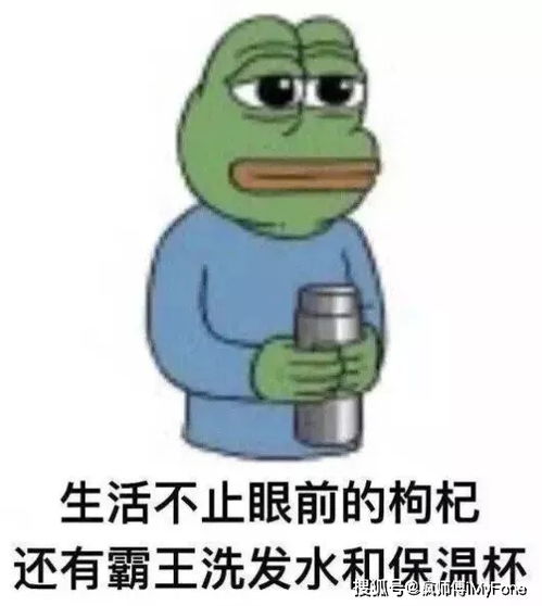 ios15.1正式版发布,新变化都在这