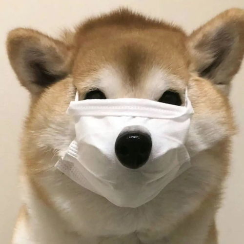 一定要尝试的头像
