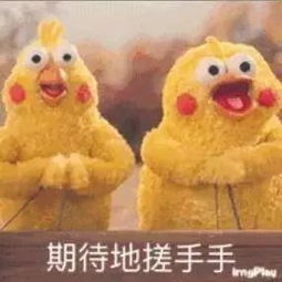 猫和老鼠要拍真人动画混合版电影啦你期待吗影视资讯