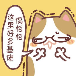 种子猫原创微信表情文字搞笑表情头像