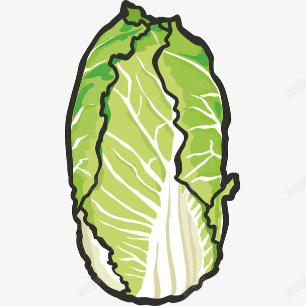 手绘简笔画蔬果蔬菜果蔬卡通免费下载页面网页平面电商创意素材白菜素材