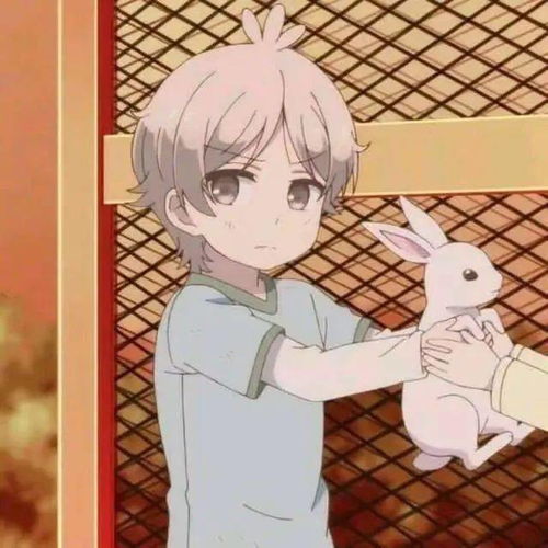 情头丨情侣头像