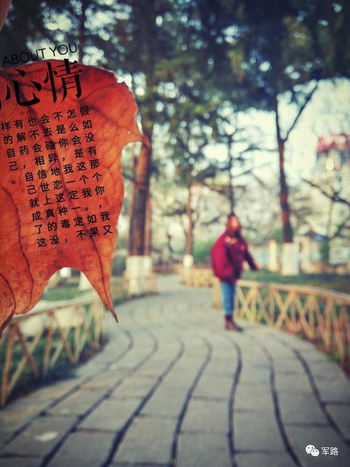没有谁适合做军嫂,而是为了爱不得不勇敢