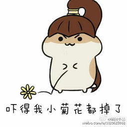 搞笑的图片