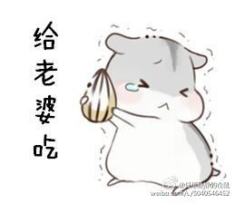 很可爱的小仓鼠表情包是哪个动画片