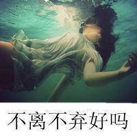 闺蜜头像一人一张背影面朝大海微信头像图片大全