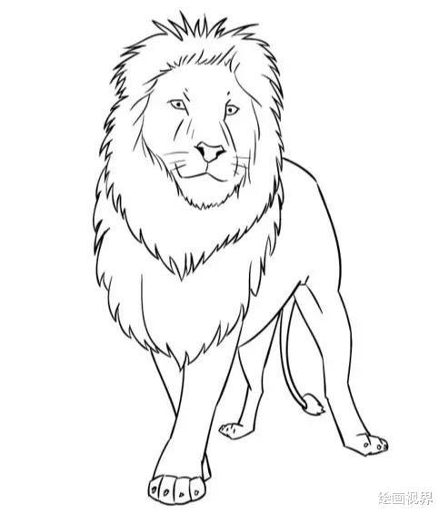 画狮子很难从线稿到造型教你画,非常适合初学者临摹学习,收藏