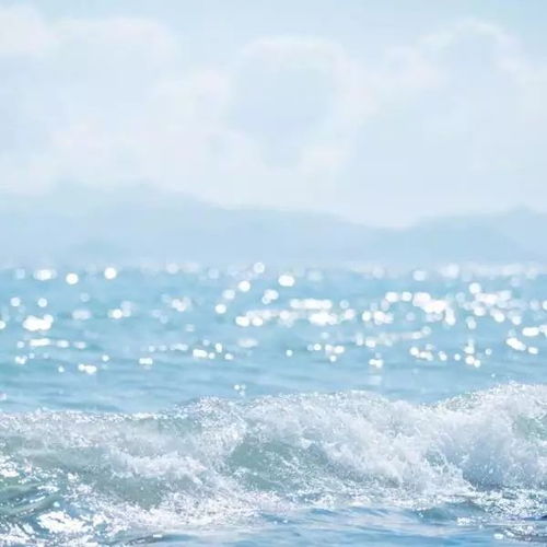 西窗烛app每日精选浣溪沙赵彦端