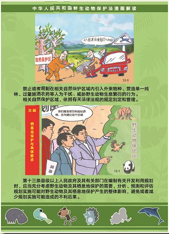 请传阅漫画图解新版野生动物保护法