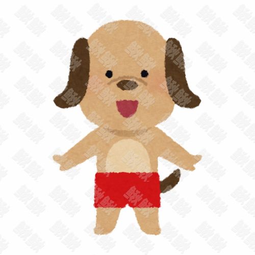 海边穿着泳裤的小狗狗猫咪小猫手绘卡通插画手绘png儿童插画免扣素材1阿猫阿狗