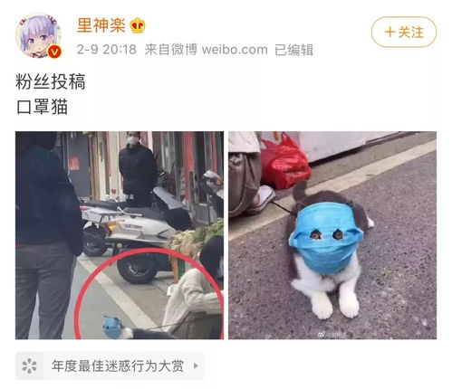 因为戴口罩陪主人买菜,这只猫被日本的沙雕手办大佬盯上了