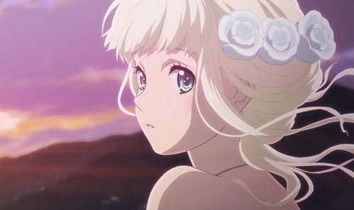 值得期待的冒险原创动画海贼王女先行开播女主性格讨喜