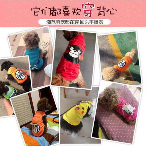 2020新款春夏卡通宠物背心泰迪小狗狗衣服小型犬贵宾猫咪宠物衣服