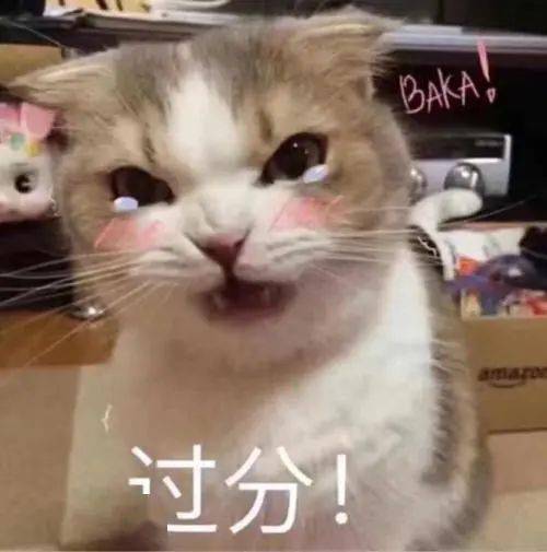 看看喵星人记仇的小表情,不好好处理,铲屎官就要失去可爱的喵啦