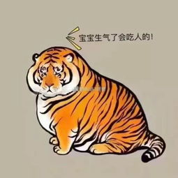 虾米音乐把vip用户称为穷逼vip.网友直呼伤不起