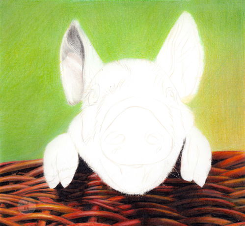 彩铅教程画2019年的第一头猪崽