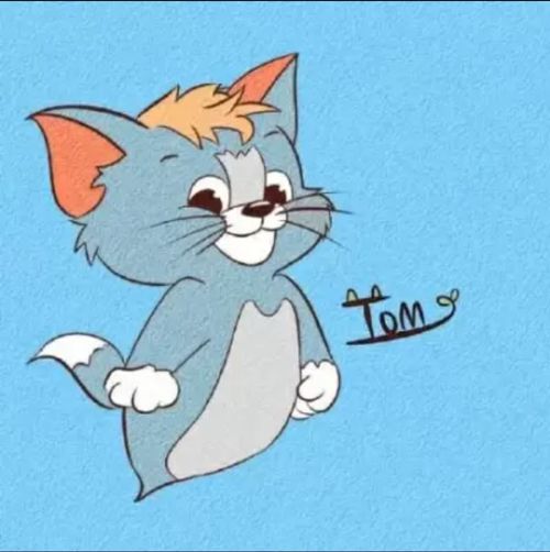 猫和老鼠情侣头像来一波
