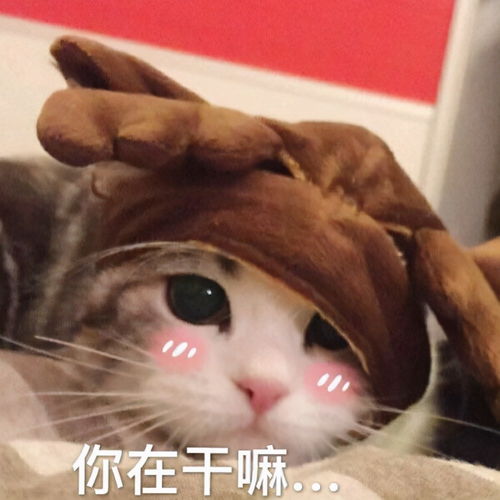 卖萌撒娇的可爱句子,很甜很撩哦