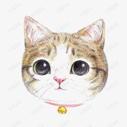 卡通猫咪素材图片免费下载高清png千库网图片编号8512769