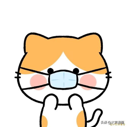 小动物们也戴上口罩啦