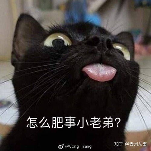 大家有没有很a的表情包