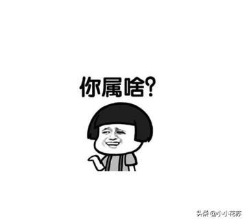 吱哟幽默笑话就不要用动画片当头像了看着好蠢