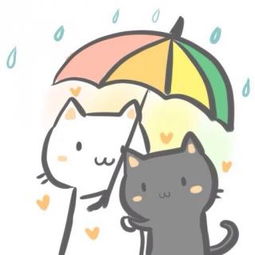 我还是很喜欢你