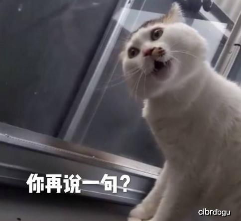 15个搞笑段子,你今天笑了吗