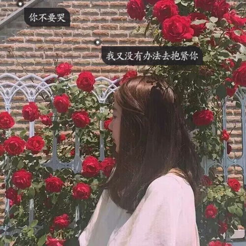 女头小清新带字标签欧美个性动漫闺堆糖,美好生活研究所