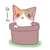 微信头像小猫咪手绘微信头像图片大全