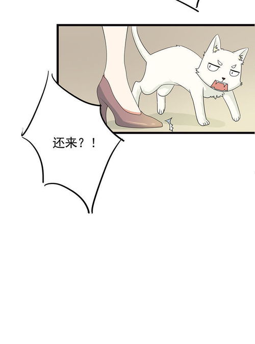 家有猫饼第4话誓不为宠爱奇艺漫画