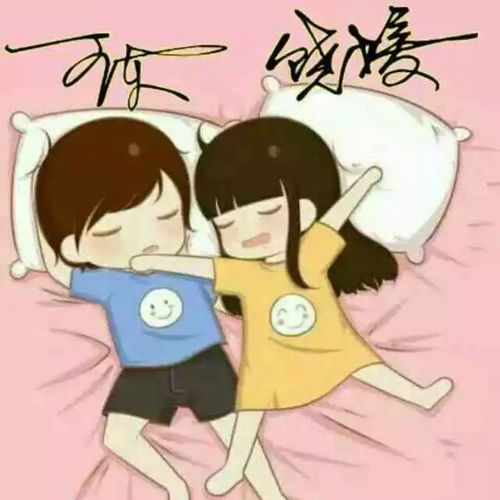 我的车型我打call全新速派