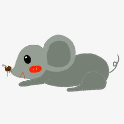 手绘卡通动物老鼠插画图片素材其他格式下载动漫人物大全