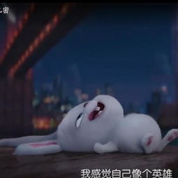 爱宠大机密丽颖微博头像小兔子各种照,这些剧情记得真爱粉么
