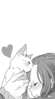 养猫,就如同在谈一场虐恋