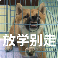 柴犬齐天表情包第二弹
