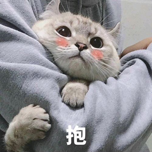 丶kojimako的个人空间acfun弹幕视频网认真你就输啦ω