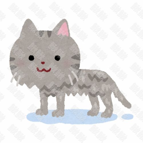 淋雨淋湿漉漉的小狗狗猫咪小猫手绘卡通插画手绘png儿童插画免扣素材1阿猫阿狗
