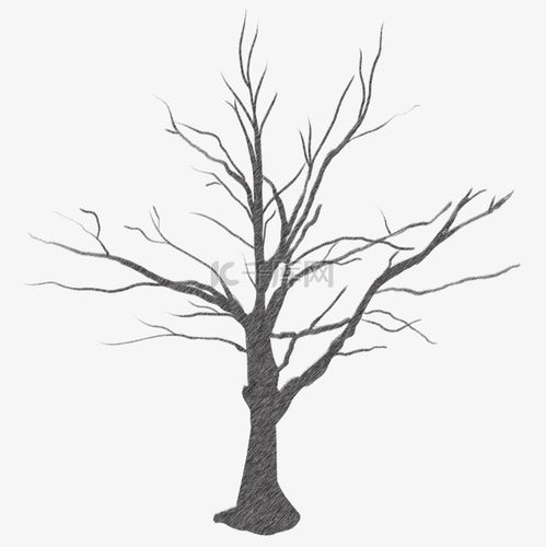 素描树枝树干黑色线描素材图片免费下载千库网