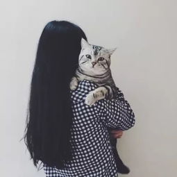 女生头像女孩猫小清新欧美