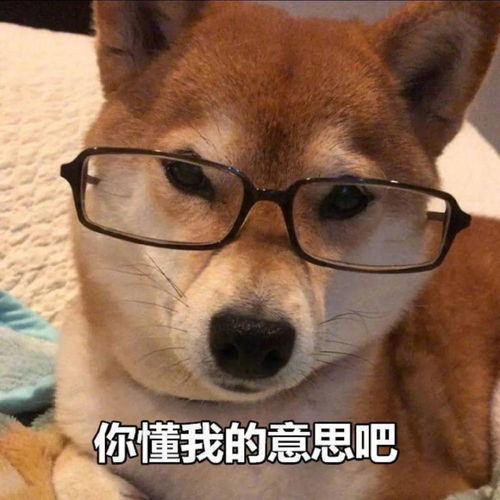 八岁女童模仿动画剧情后坠亡,制作公司判罚,国内动画迎来末路