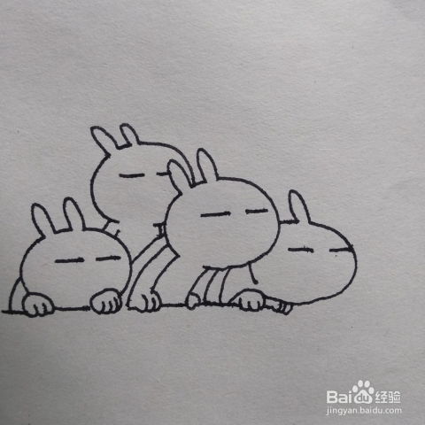 怎么画很火的表情包兔斯基合影卡通简笔画