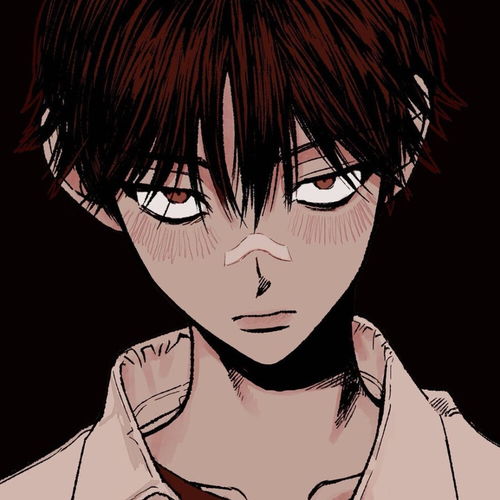 动漫男头你准备好愿望了吗流星雨要来了