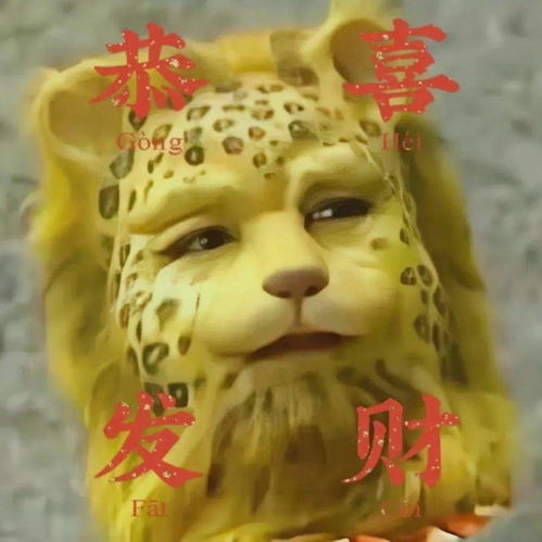 微信豹富头像超火的金钱豹头像来了