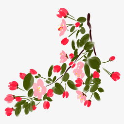 樱花树枝叶子插画图片素材其他格式下载装饰图案大全