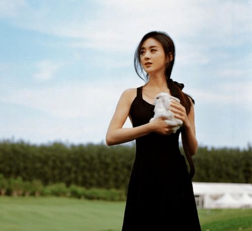 杨紫的作品无缘第13届金鹰奖今年的视后,大概率要归赵丽颖了