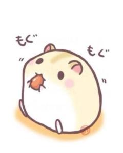 即使变成仓鼠也要变成最强