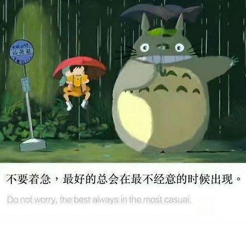 有哪些二十多岁一定要懂的的人生经验