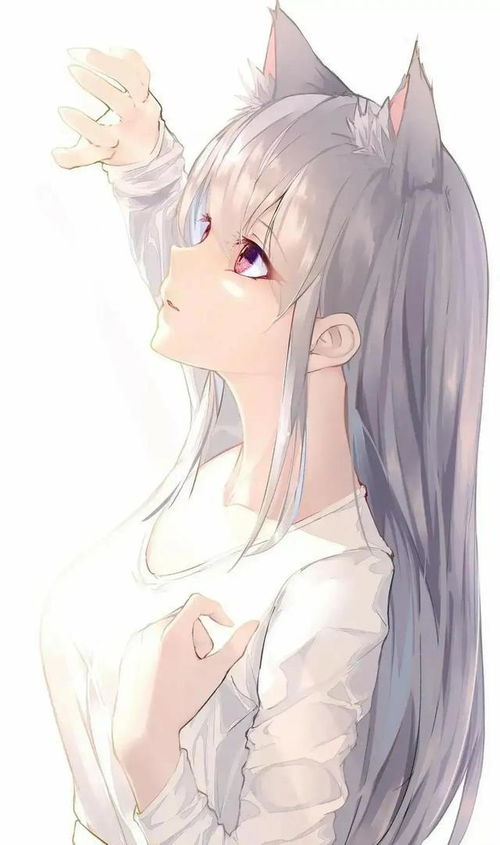 二次元动漫夏日清凉